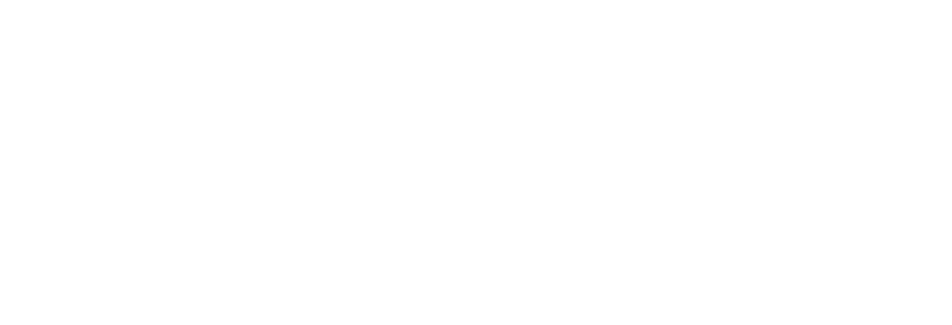 Partner Logo: Adidas