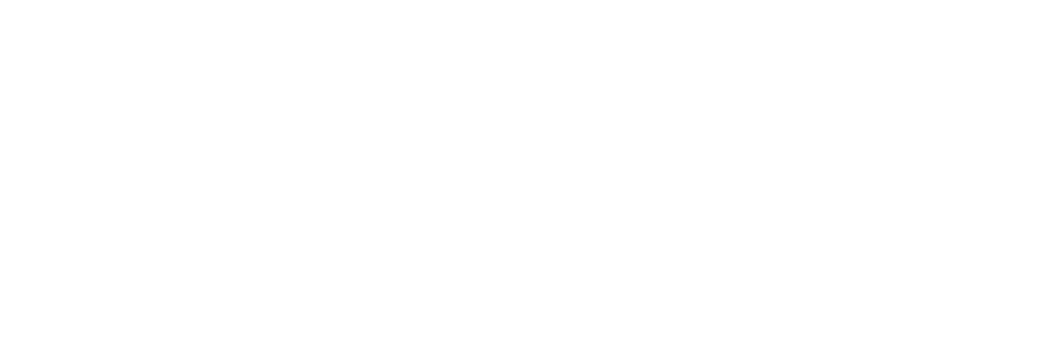 Partner Logo: Revolut
